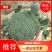 河南精品西蓝花，小米粒，保质保量，大量上货，货量充足