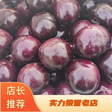 【实力代办】河北暖棚圆茄外表亮，果行正，全国发货