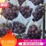 【热卖中】河北饶阳暖棚乒乓球葡萄，品种齐全规格齐全市场专供