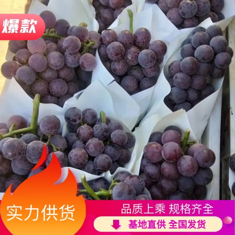 【热卖中】河北饶阳暖棚乒乓球葡萄，品种齐全规格齐全市场专供