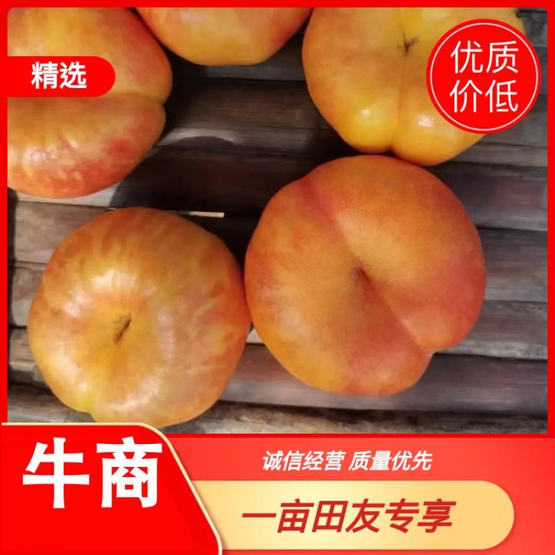 油蟠桃九号套袋口感脆甜果面干净诚信对接批发商超市团购电商