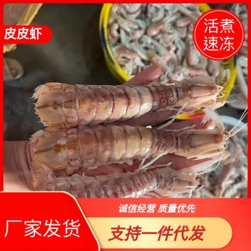 皮皮虾（活煮速冻）厂家发货，质量保障，味道鲜美。