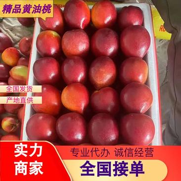 【实力推荐】河北精品黄油桃大量上市产地直供对接市场电商