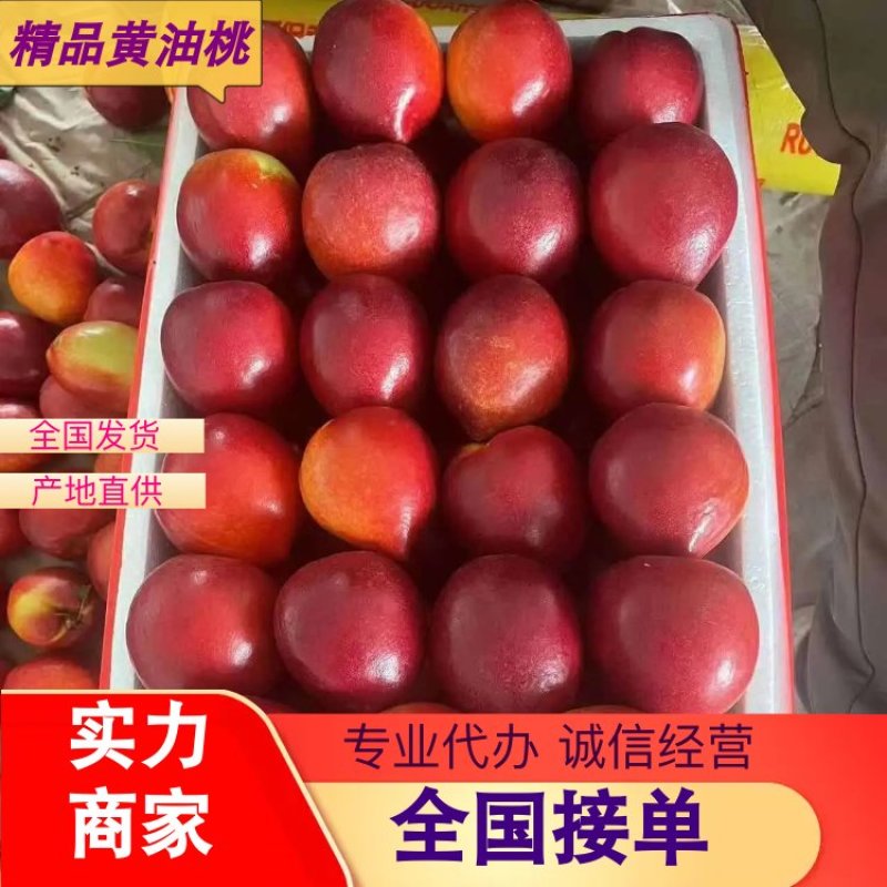 【实力推荐】河北精品黄油桃大量上市产地直供对接市场电商