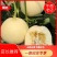 陕西闫良甜瓜现已大量上市，白皮白肉小籽1斤以上精品