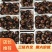 北极红参，，老百姓吃得起的海参，三证齐全，量大价优。