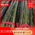 【精品竹竿】一手货源，精品保质量，货源稳定，大量出售