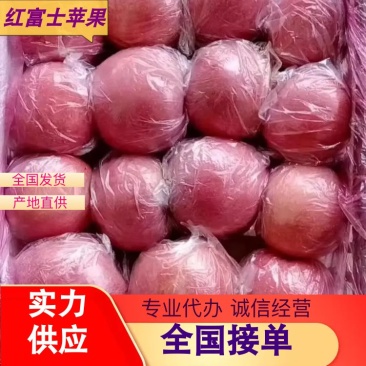 黄土高坡鲁丽苹果果味香甜口感好品质好欢迎进店