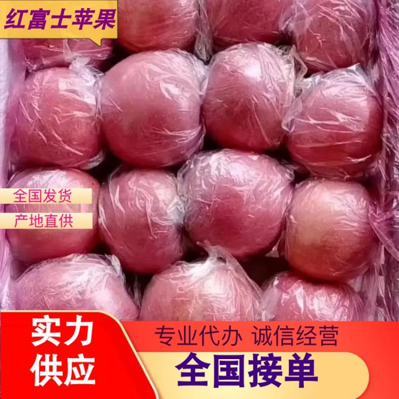 黄土高坡鲁丽苹果果味香甜口感好品质好欢迎进店