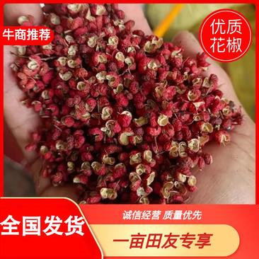 【包邮】23年新货陕西大红袍特级梅花椒肉厚麻香全国发货