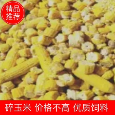 销售熟玉米碎玉米牛羊饲料厂家直销饲料货源充足量大优惠
