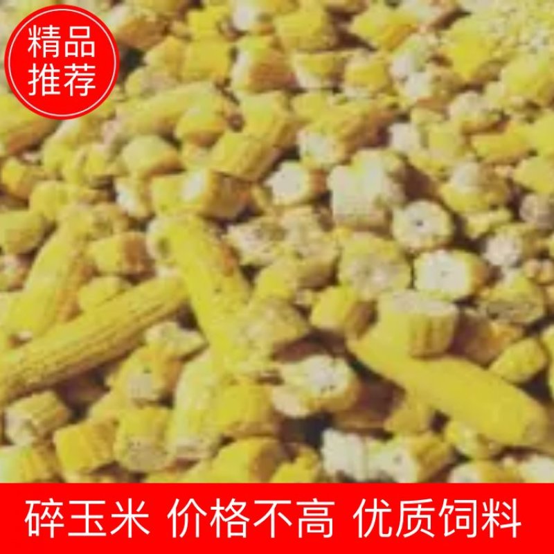 销售熟玉米碎玉米牛羊饲料厂家直销饲料货源充足量大优惠