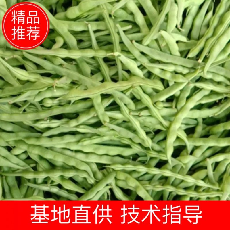 【大青豆】一手货源协助找车全国发货产地直发