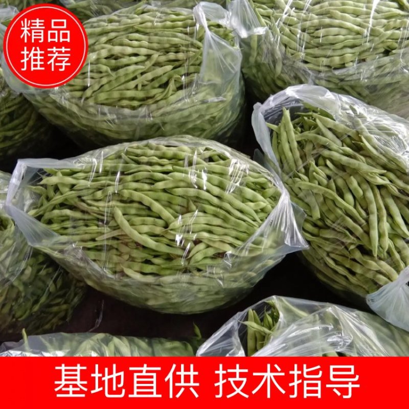 【大青豆】一手货源协助找车全国发货产地直发