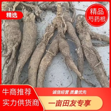 河北芍药根品质保证诚信经营欢迎联系药材基地量大优惠
