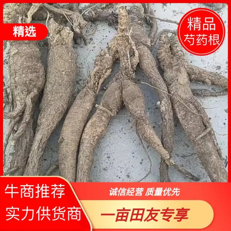 河北芍药根品质保证诚信经营欢迎联系药材基地量大优惠