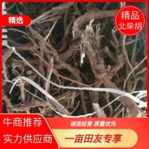 河北柴胡品质保证诚信经营欢迎联系药材基地全国发货量大优惠