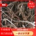 河北柴胡品质保证诚信经营欢迎联系药材基地全国发货量大优惠