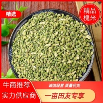河北槐米品质保证诚信经营欢迎联系药材基地量大优惠