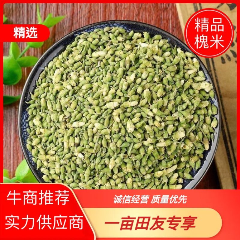 河北槐米品质保证诚信经营欢迎联系药材基地量大优惠