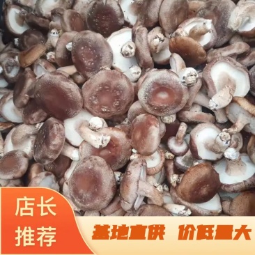 香菇，基地直供，价低，量大，质高，支持一件代发！