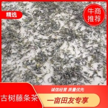 古树滕条精品普洱茶基地直供一手货源品质保证诚信经营欢迎采购