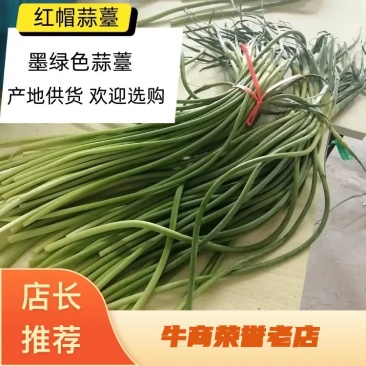 蒜苔，红帽蒜薹墨绿色优选蒜苔产地发货量大从优