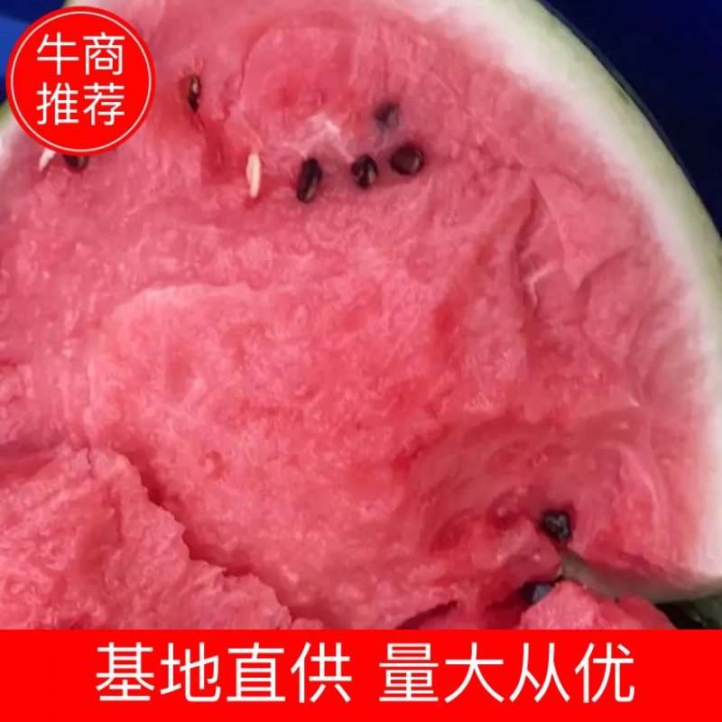【精】安徽宿州8424美都西瓜产地直发货源充足欢迎来电咨