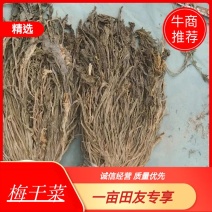 【推荐】江苏宿迁梅干菜，整颗脱水，量大从优，欢迎咨询！