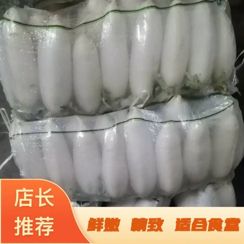 【荐】沙洋白萝卜精品小白萝卜鲜嫩精致好吃精品通货均有