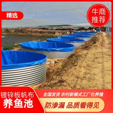 农村新模式工厂化鲈鱼养殖镀锌板防渗漏帆布鱼池