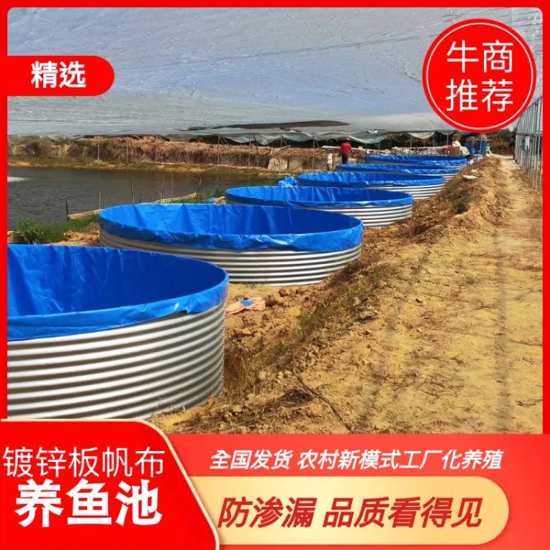 农村新模式工厂化鲈鱼养殖镀锌板防渗漏帆布鱼池