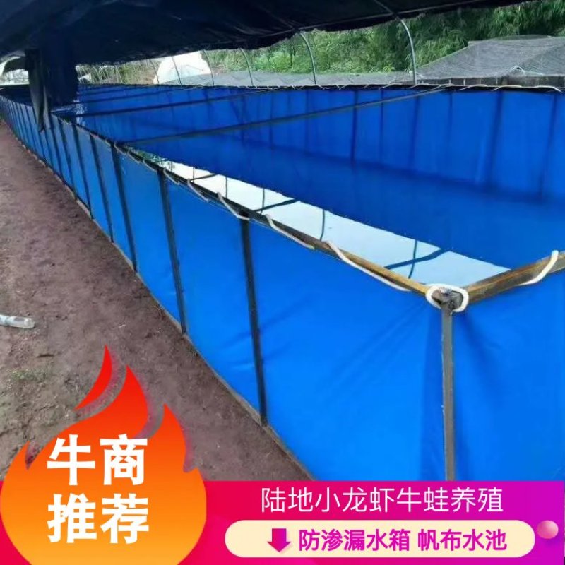 防渗漏水箱陆地小龙虾牛蛙养殖专用帆布水池