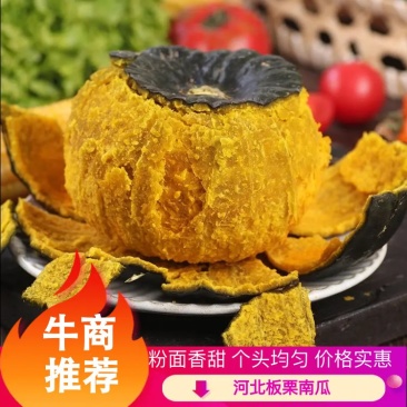 【荐】河北精品板栗南瓜粉面香甜供应市场商超社区团购