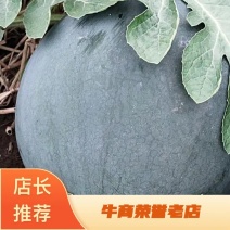 【洞庭壹号】精品黑皮无籽西瓜，包邮坏果包赔。