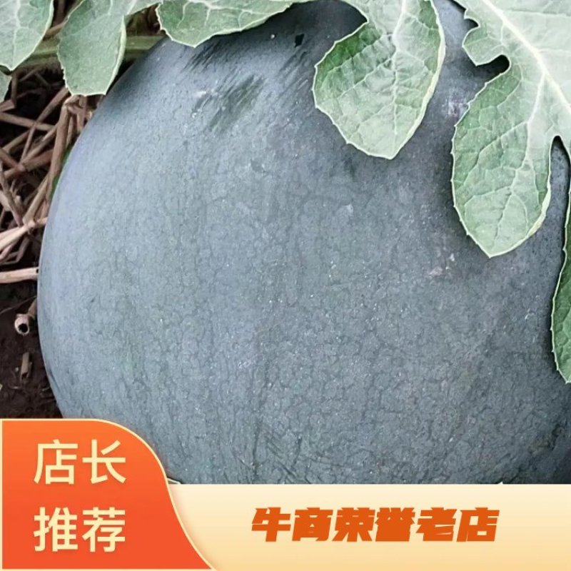 【洞庭壹号】精品黑皮无籽西瓜，包邮坏果包赔。