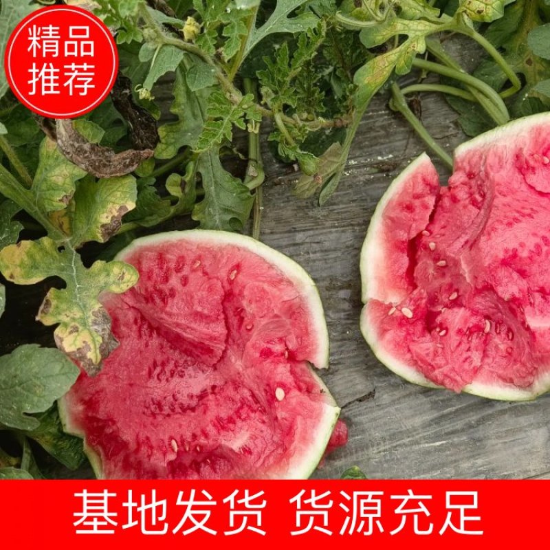 云南产地西瓜大量供应全国发货