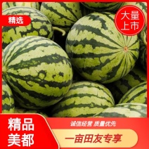 【美都西瓜】量大从优，品质保证，大量上市。