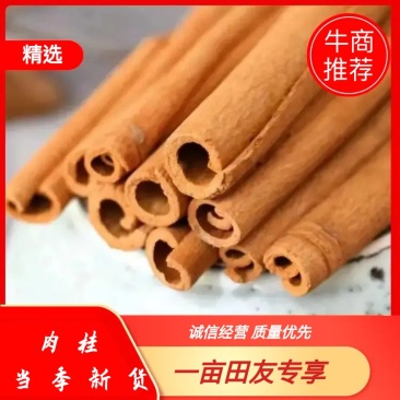 广西肉桂烟桂去皮肉桂桂心桂通批发香料卤料炖肉调味料入药纯