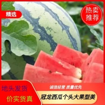 【热卖】河南冠龙西瓜量大从优包熟包甜欢迎咨询选购