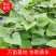 实验室培育高产西瓜红脱毒一代红薯苗，产地直发，价格美丽！