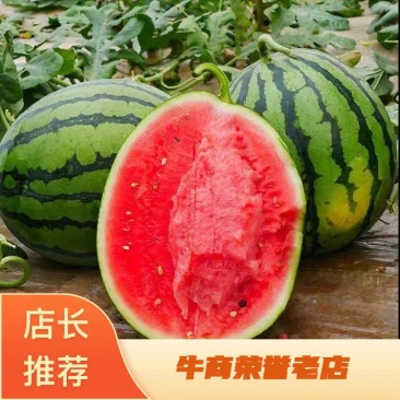 陕西甜王，蒲城甜王西瓜大量上货，诚信经营，坏瓜包赔