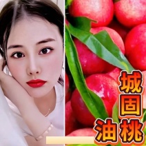 汉中桃【中油27号18号16号13号】产地直供代发全国现