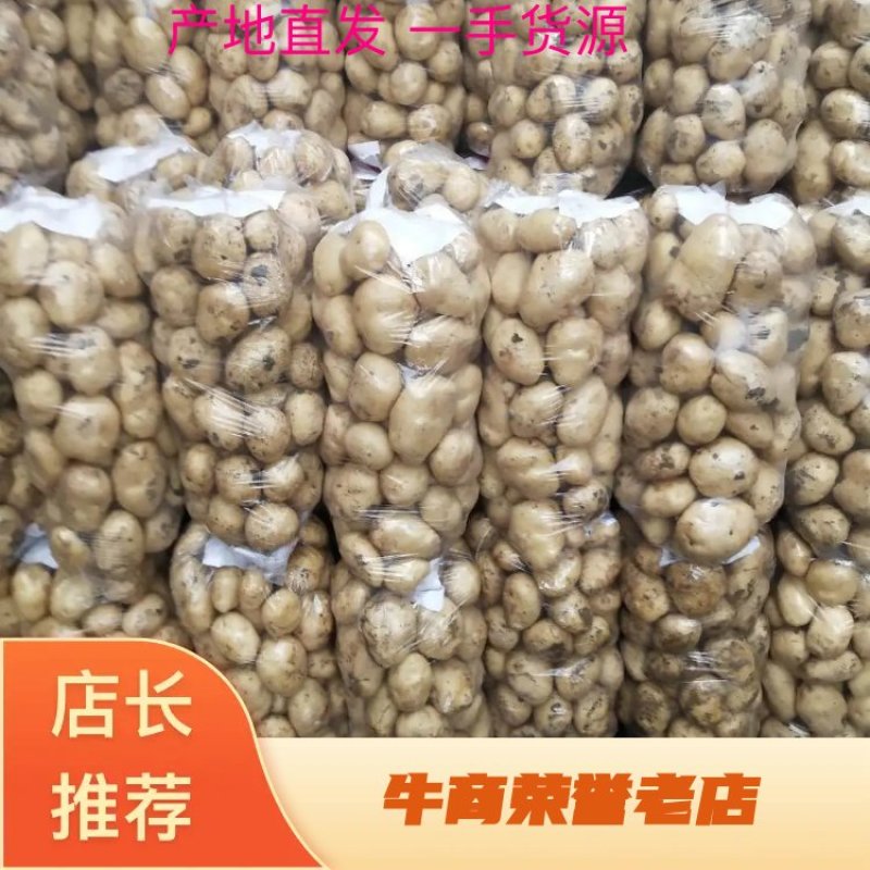 226土豆，新鲜上市，现出货产地货源可视频看货