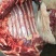 【马肉】优质马肉无注水无掺假现杀现卖全国发货