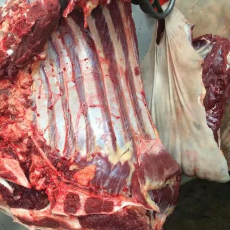 【马肉】优质马肉无注水无掺假现杀现卖全国发货