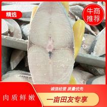 广东湛江马鲛鱼片鲅鱼竹鲛源头厂家大量供货欢迎来电