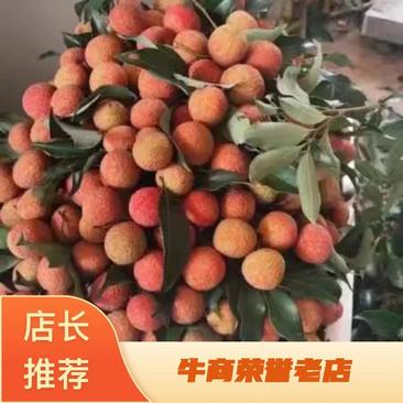 精品荔枝黑叶妃子笑白腊桂味品种齐全一件代发一手货源