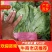菠菜大量上市。20～25，产地直发欢迎咨询优惠