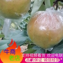 【热卖】山西临猗坡上（雨露香梨）皮薄个大味甜吃完无渣糖渡高！